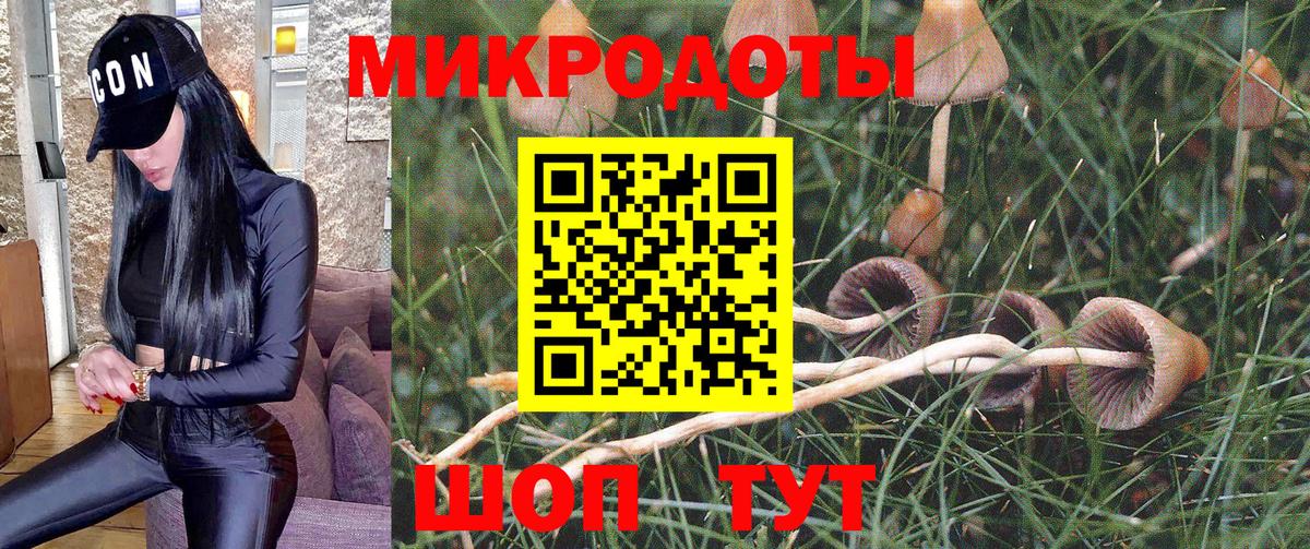Галлюциногенные грибы MAGIC MUSHROOMS  Вход с VPN  Семёнов 