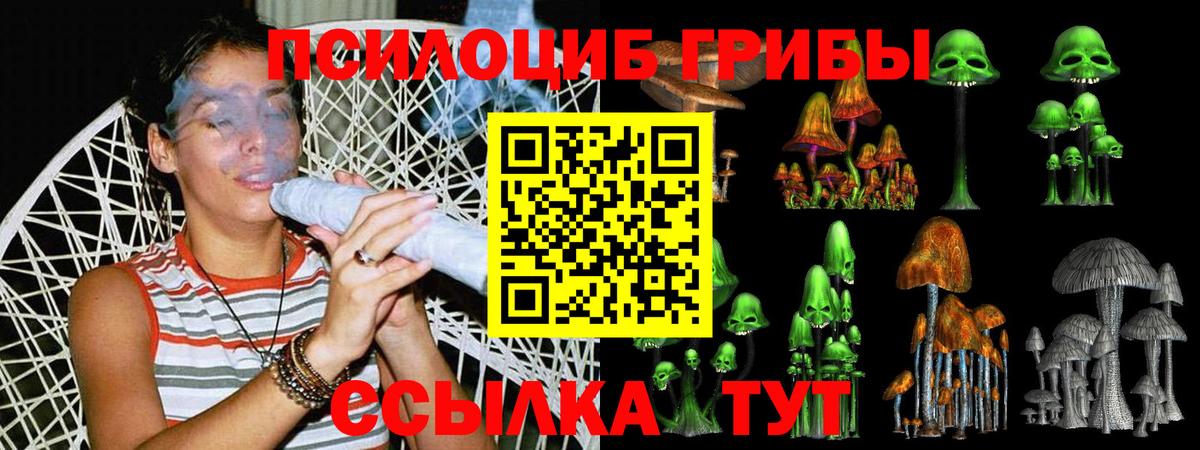 Псилоцибиновые грибы Cubensis Семёнов